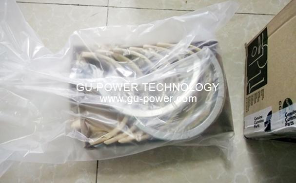 GU-POWER TECHNOLOGY